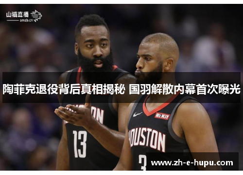 陶菲克退役背后真相揭秘 国羽解散内幕首次曝光